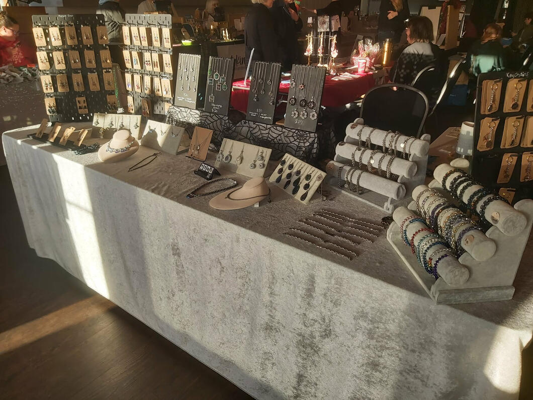 SpayDay Holiday Fundraiser 2025